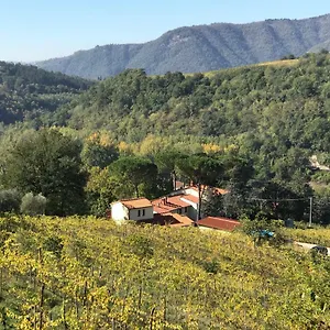  Appartement Il Poggiolo Ai Casini